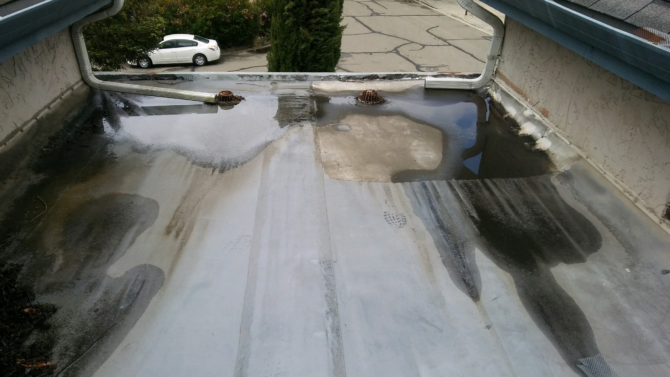water pooling on flat roof