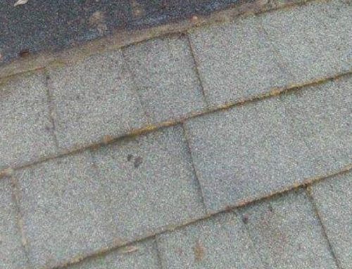 Granule Loss on the Edge of Shingles? Here’s What You Need to Know
