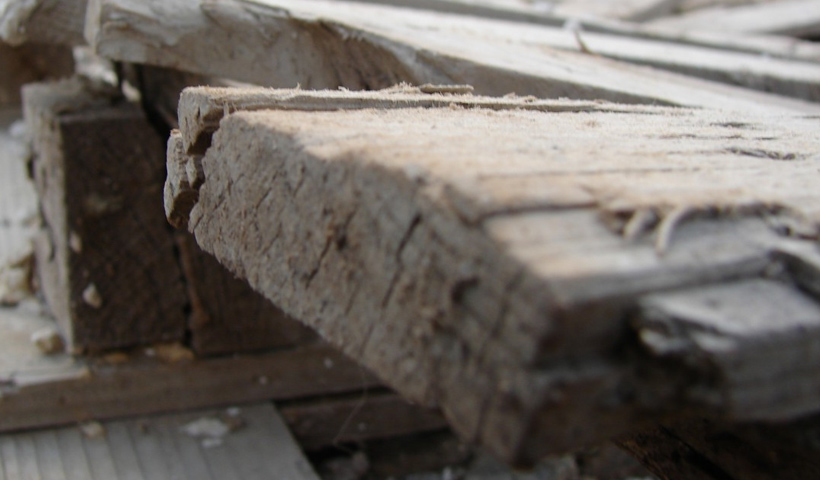 can a roof collapse from dry rot?