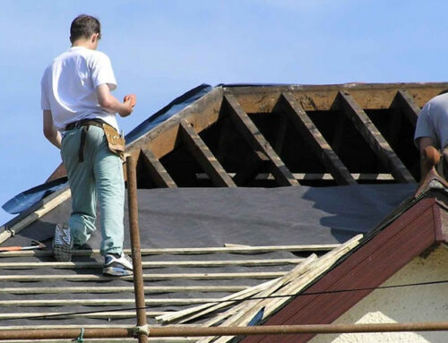 The Risks of Dry Rot in Your Roof