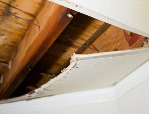 Why Roof Rot Starts From the Inside Out